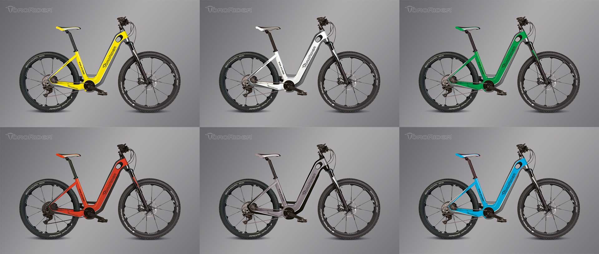 Tororider Citybike